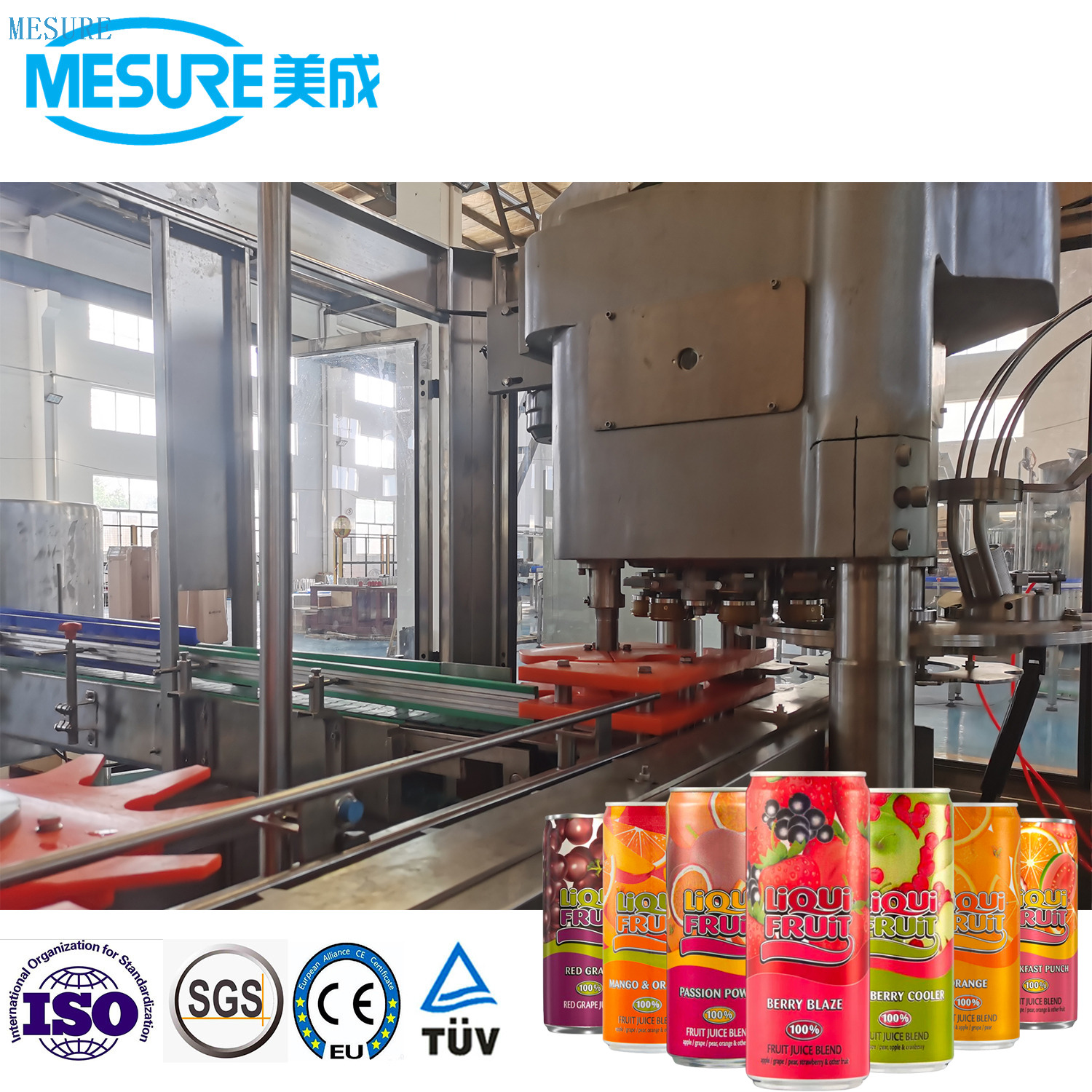 Beverage Juice Fruit Juice Filling Machine with Factory Directly Price