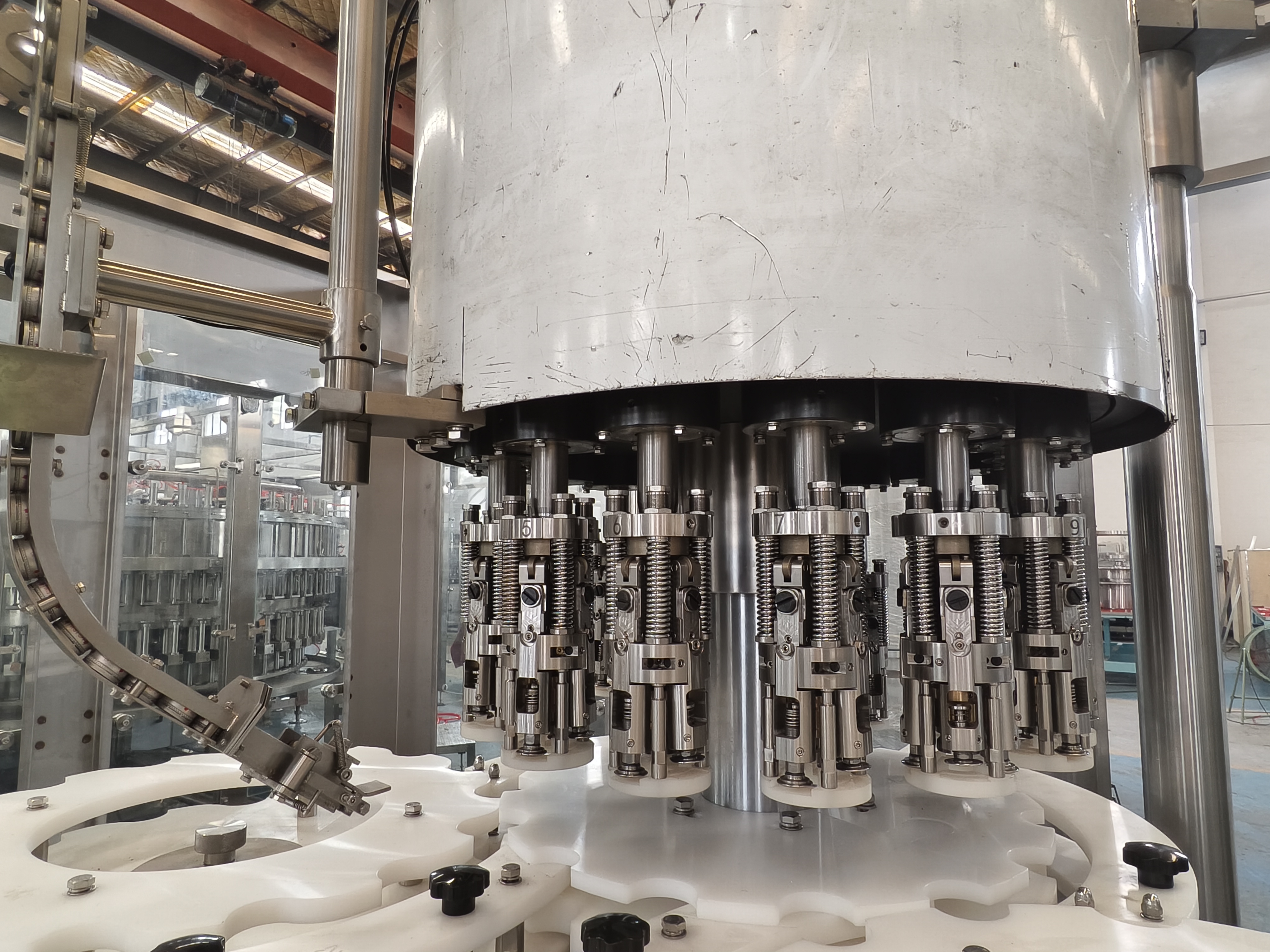 微信图片_202407011612181