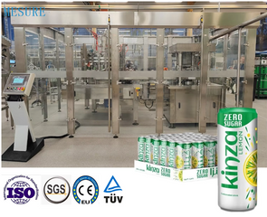 Efficient Can Filling & Sealing Machines - Custom Carbonated Beverage Lines for Small Biz | Beer & Liquid
