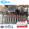Compact Blow-Fill-Cap Combi System for Mineral Water | High-Speed PET Bottle Filling Line Customization