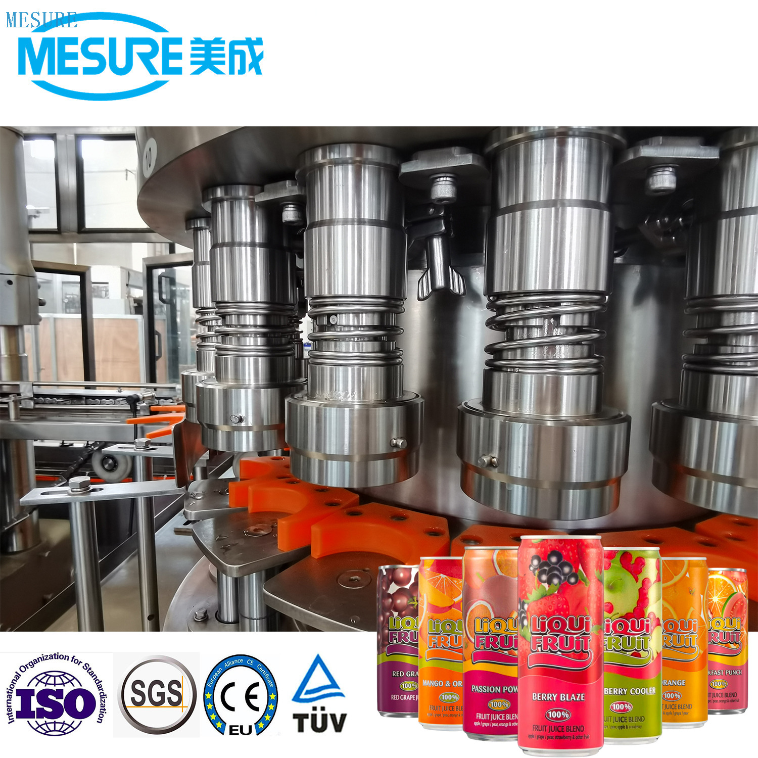 Beverage Juice Fruit Juice Filling Machine with Factory Directly Price