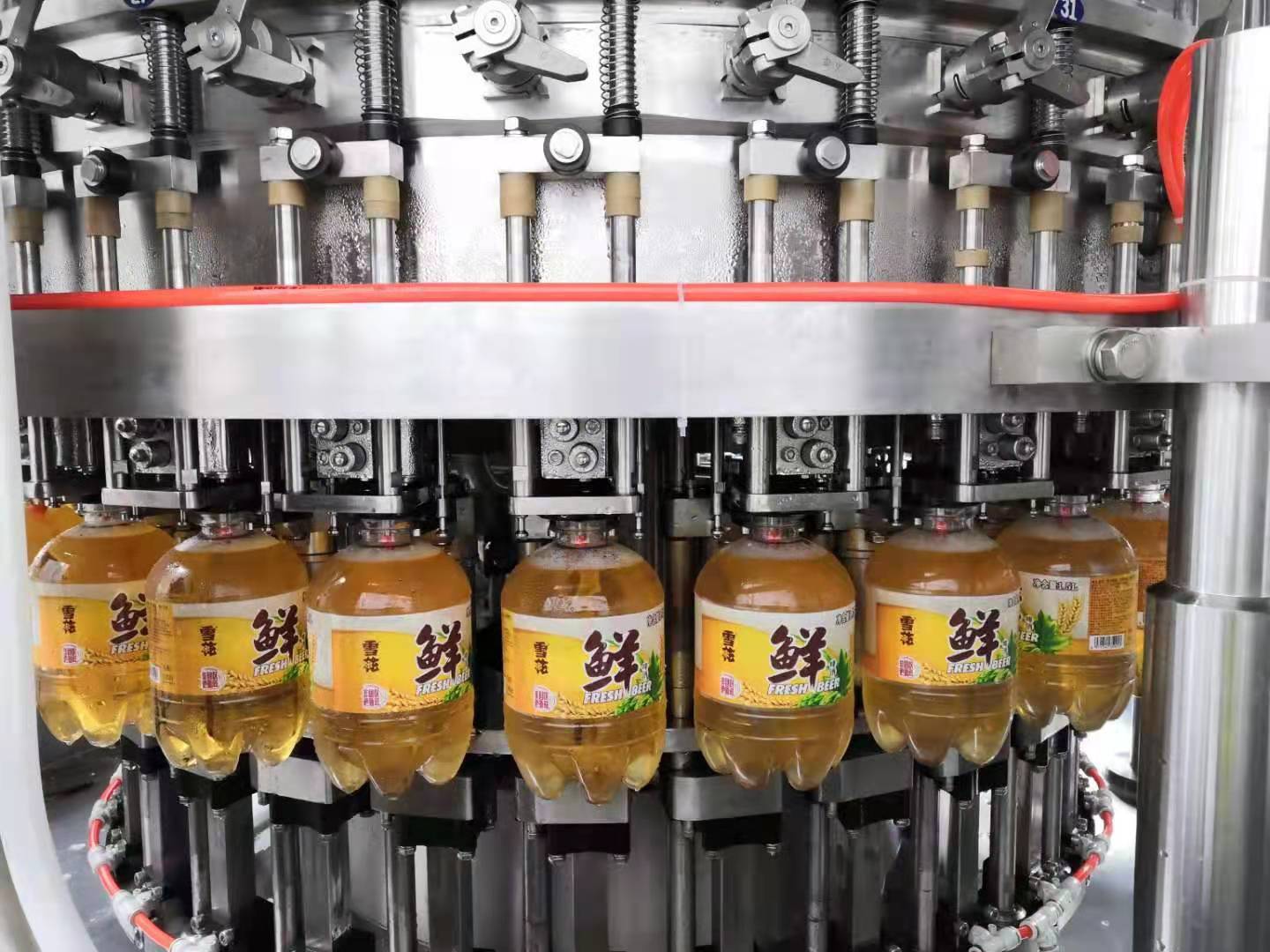PET bottle fresh beer filling Line 