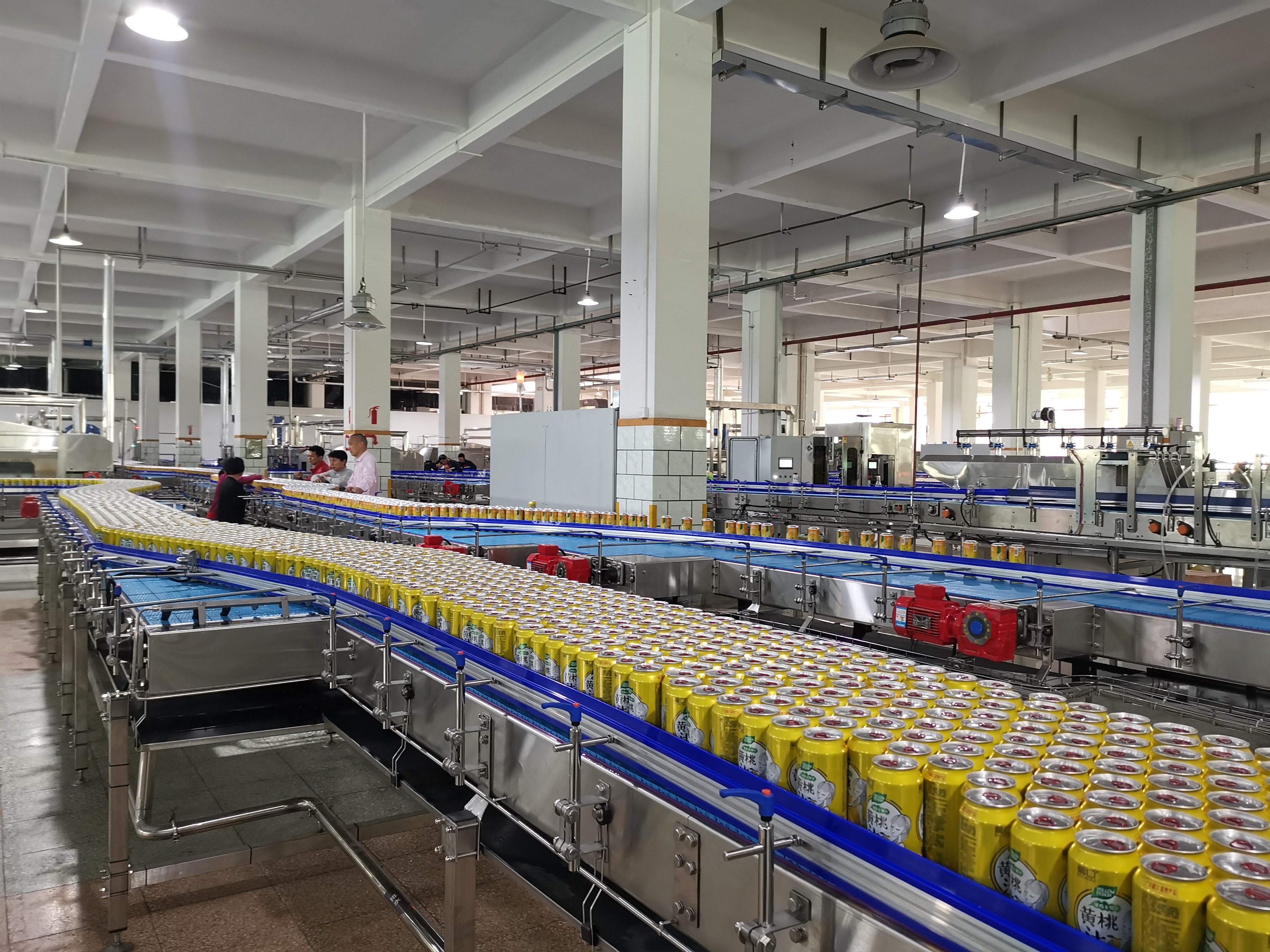 Factory Automatic Liquid Manufacturing Bottling Packaging System for PET Beer Precision Line 