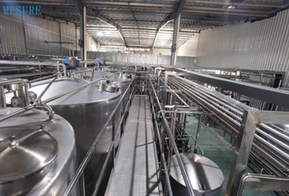 Dairy Drink Processing System 
