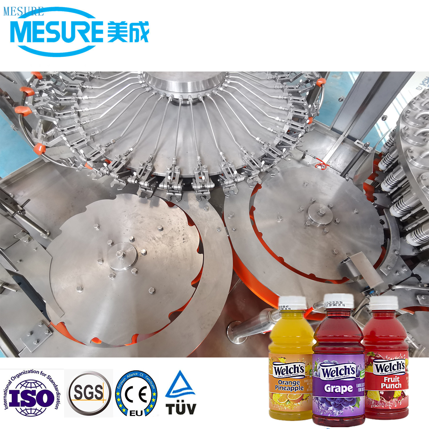 10000bph Fruit Pulp Juice Beverage FIlling Line 
