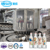 Automated Blow-Fill-Cap Combi Machine for PET Bottles | Custom Mineral Water/Beverage Line, 20000BPH