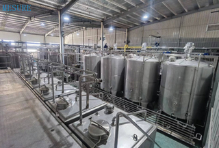 Water Treatment System RO Water Filter Reverse Osmosis System for Drinking Water Plant