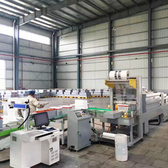 Automatic PE Film Wrapping Machine