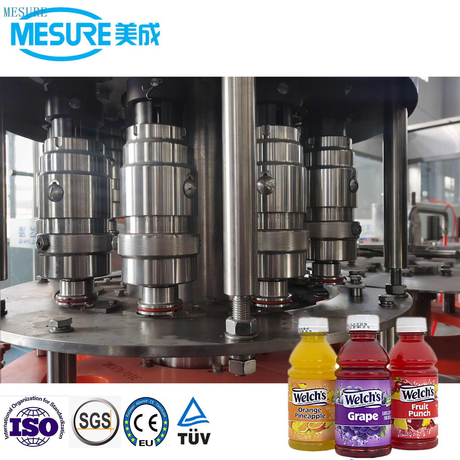10000bph Fruit Pulp Juice Beverage FIlling Line 
