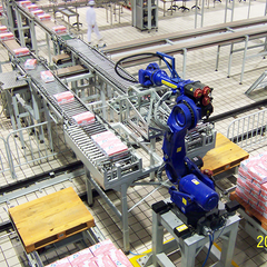 High Quality Automatic Palletizer Robot Machine